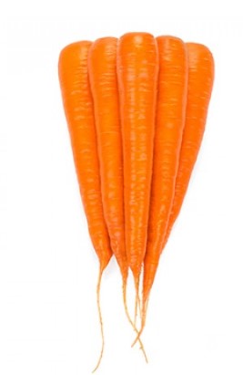 Burkānu sēklas KAROTAN RZ