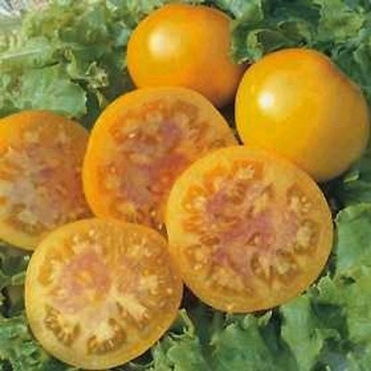 Tomātu sēklas - Grapefruit