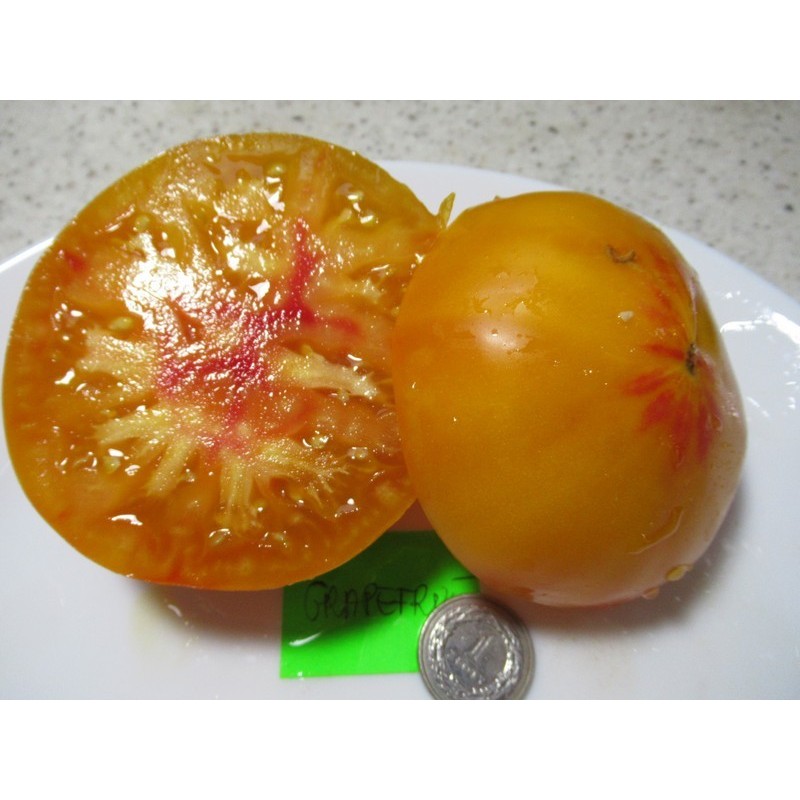 Tomātu sēklas - Grapefruit