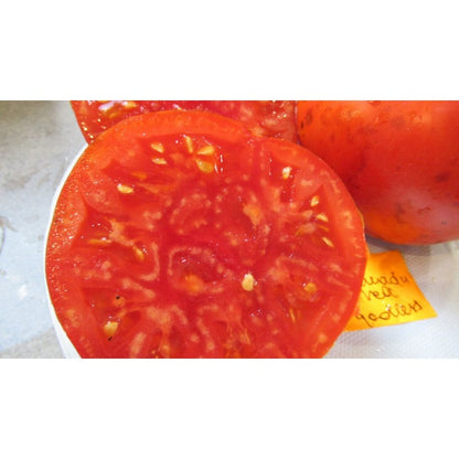 Tomātu sēklas - Xanadu Red Gooddless