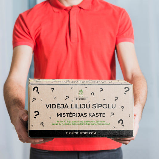 Vidējā Liliju Sīpolu Mistērijas kaste